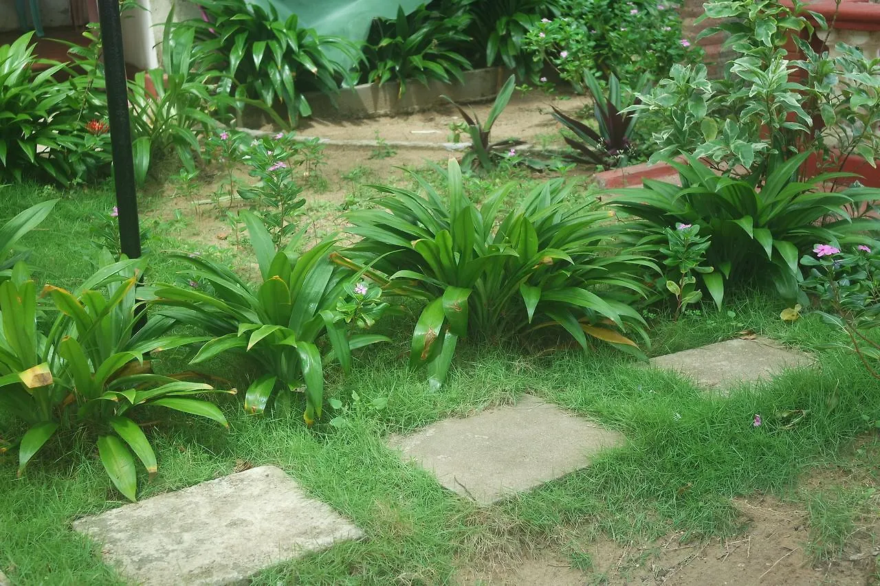 Dephani Beach Hotel Negombo